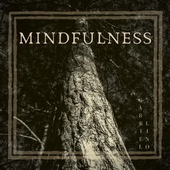 Mindfulness by Gabriel Lino