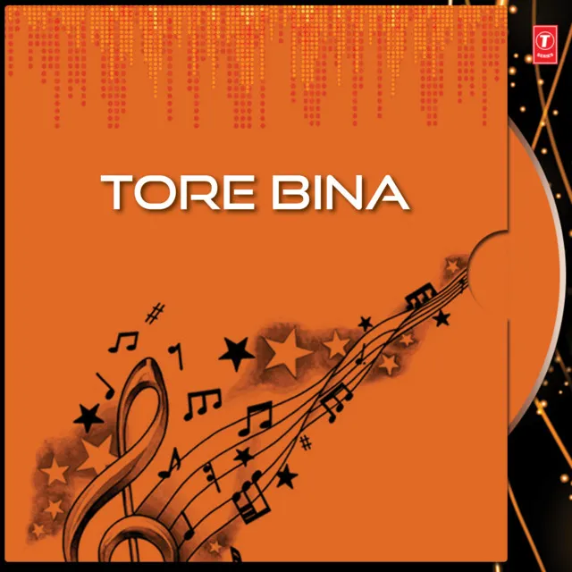 Tore Bina