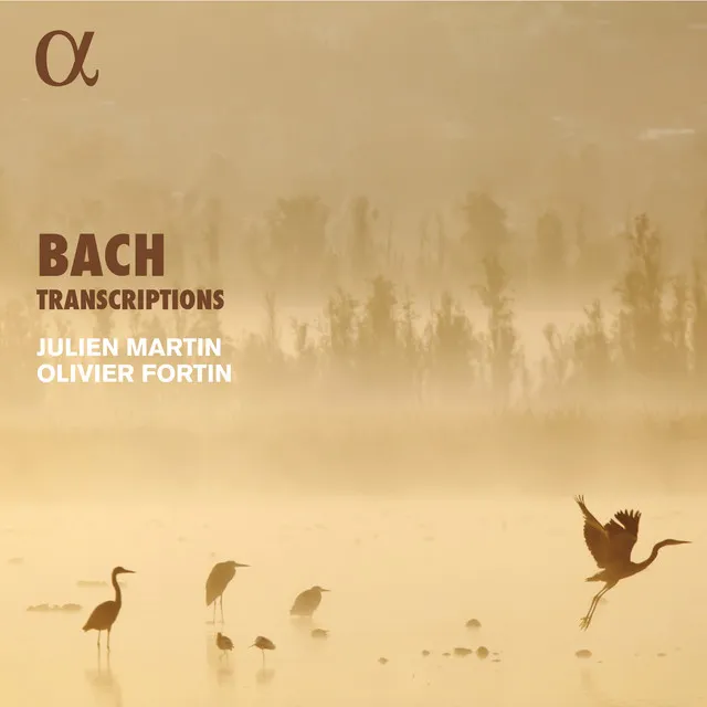 Suite in C Minor, BWV 997: I. Preludio (Transcr. for Recorder and Harpsichord by Julien Martin and Olivier Fortin)