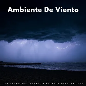 Ambiente De Viento: Una Llamativa Lluvia De Truenos Para Meditar by Efectos especiales de lluvia del bosque