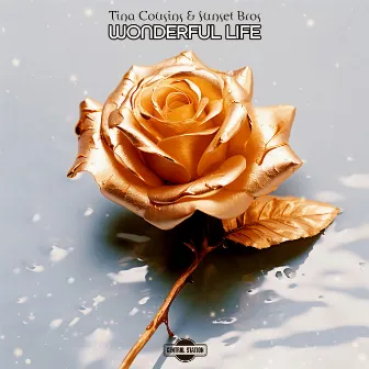 Wonderful Life by Tina Cousins