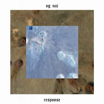 Response by og naj