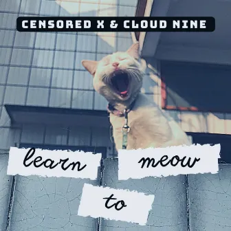 Learn to Meow by Cloud Nine