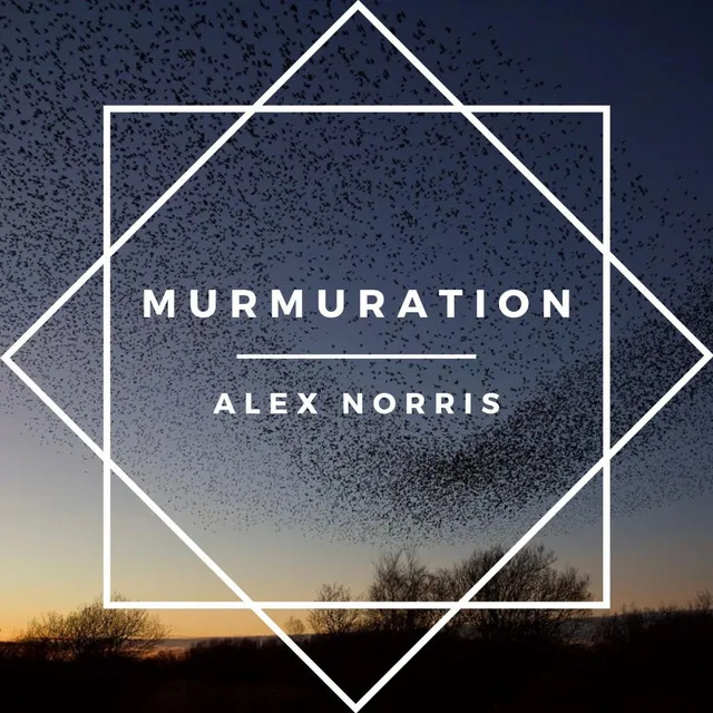 Murmuration