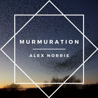 Murmuration by Alex Norris