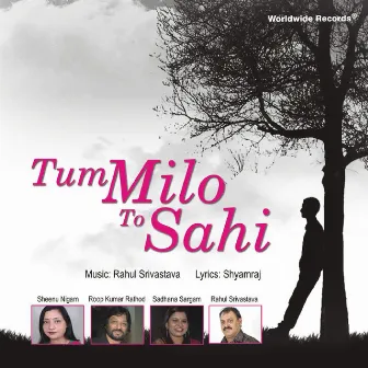 Tum Milo To Sahi by Rahul Srivastava