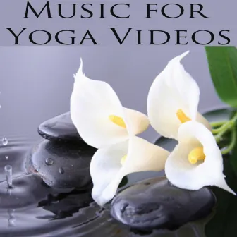 Music for Yoga Videos by David Young