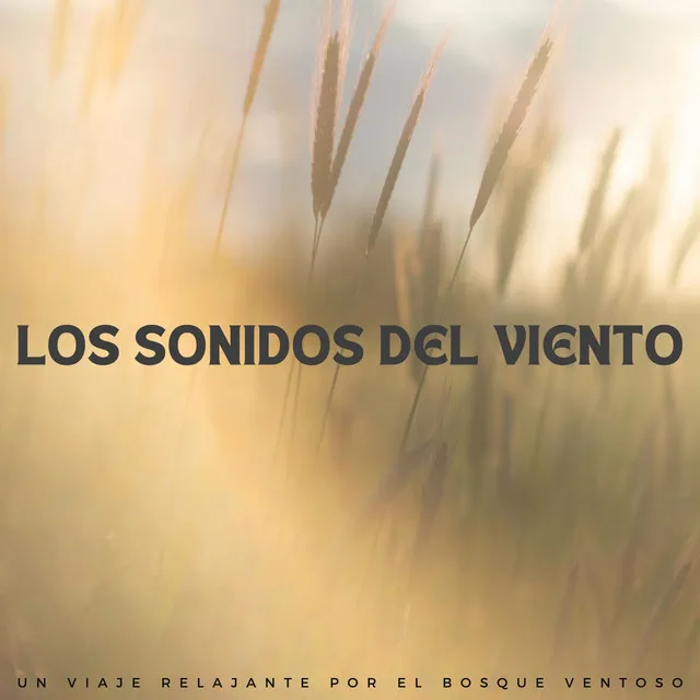 Los Sonidos Del Viento: Un Viaje Relajante Por El Bosque Ventoso