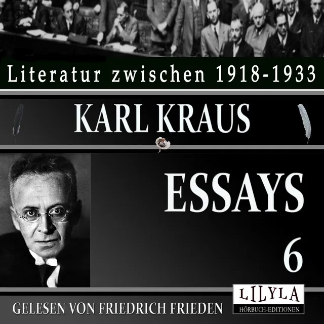 Kapitel 3 - Essays 6