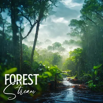 Forest Stream: Healing Nature Sounds, Rainforest, Birds for Relax Mind, Sleep by Singing Birds Zone