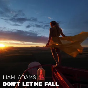 Don't Let Me Fall by Liam Adams