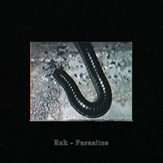 Parasites by rak.