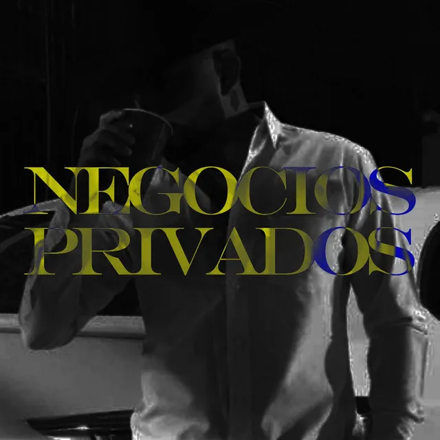 Negocios Privados