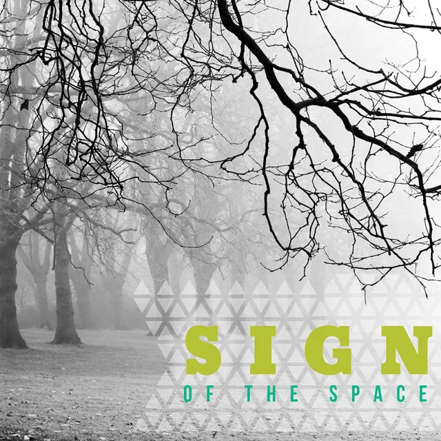 Sign of the Space