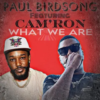 What we are by Paul Birdsong