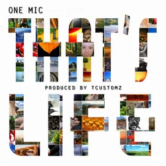 That's Life by One Mic