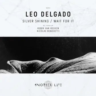 Wait for It (Nicolas Benedetti Remix) by Leo Delgado