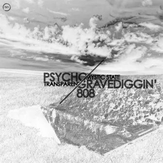 Psycho/808 Gravediggin' by Transparent