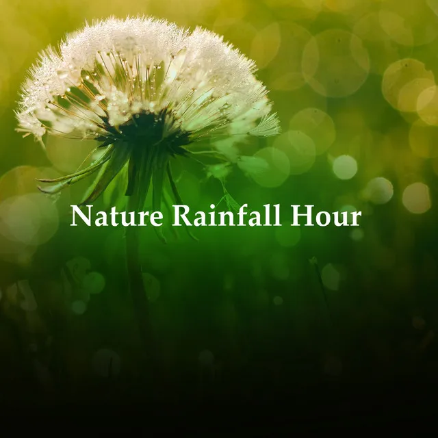 Nature Rainfall Hour