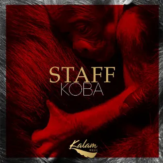 Koba by STAFF