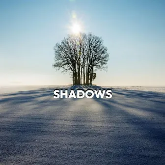 Shadows by Donavan Montrell