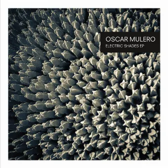 Electric Shades EP by Oscar Mulero