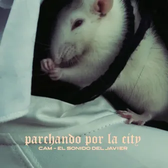 parchando por la city by El sonido del javier