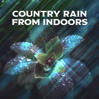 Country Rain From Indoors by Nature Field Recordings