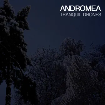 Tranquil Drones by Andromea