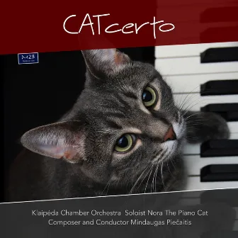 CATcerto by Mindaugas Piecaitis