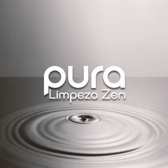 Pura Limpeza Zen (Alma Transcendental, Harmonia Meditativa, Jardim em Sua Mente) by Relaxar Meditação Clube