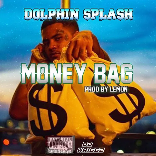 Money Bag