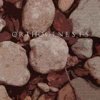 Orthogenesis - EP by Orthogenesis