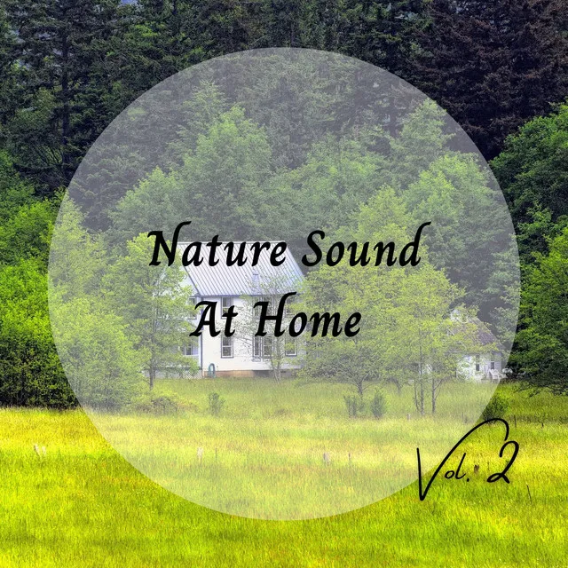 Nature Sound At Home Vol. 2