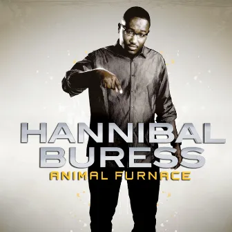 Animal Furnace by Hannibal Buress