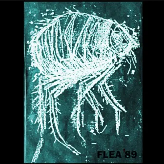 '89 by Flea