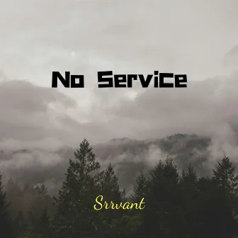 No Service by Srrvant