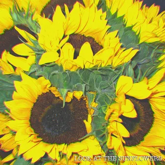 look at the sunflowers by Melody the Basset