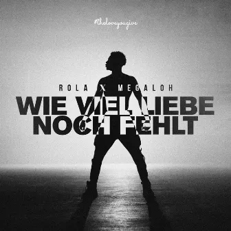 Wie viel Liebe noch fehlt by Rola