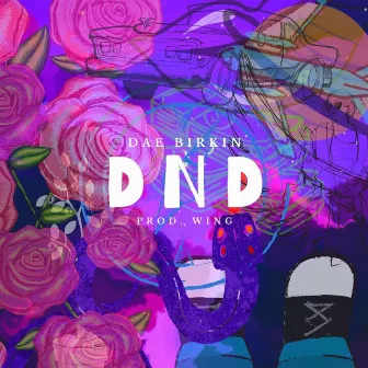 DND by Dae Birkin