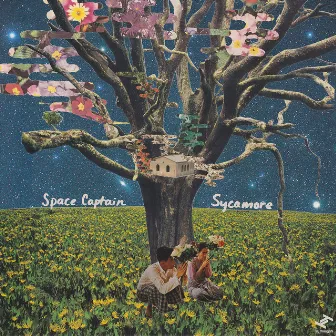 Sycamore by Space Captain