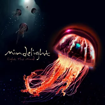 Light The Mind by Mindelight