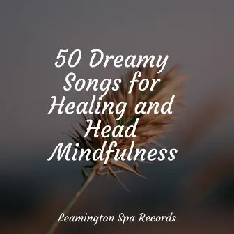 50 Dreamy Songs for Healing and Head Mindfulness by Loopable Sounds for Babies