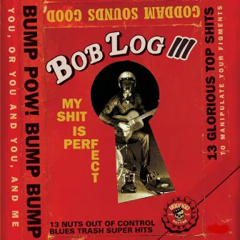 My Shit Is Perfect by Bob Log III