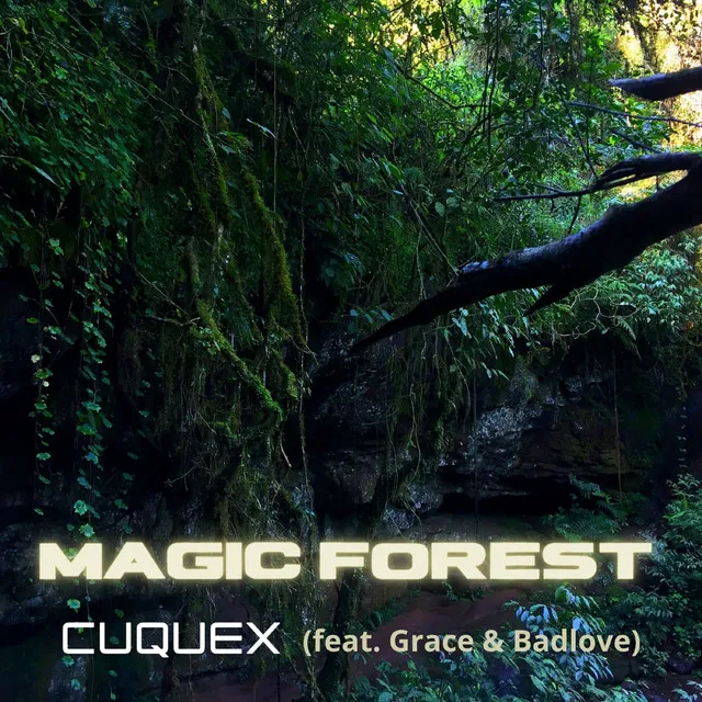 Magic Forest