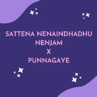 Sattena Nenaindhadhu Nenjam X Punnagaye by Ahmed Meeran