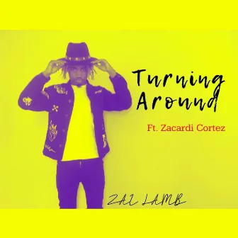 Turning Around by Zai Lamb