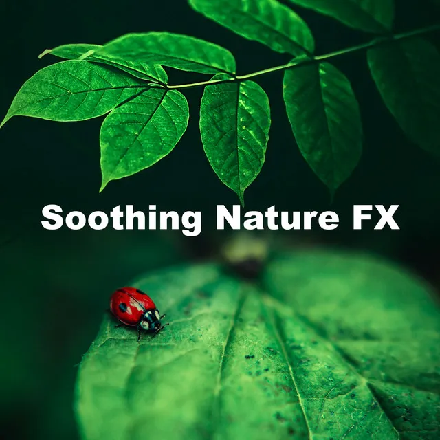 Soothing Nature FX