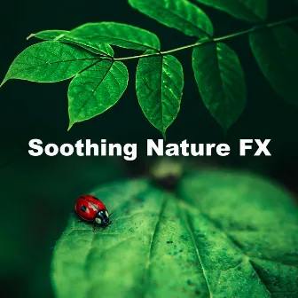 Soothing Nature FX by Forest FX Smith