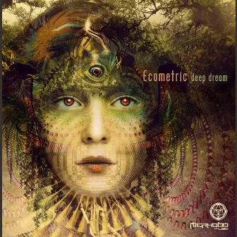 Deep Dream by Ecometric